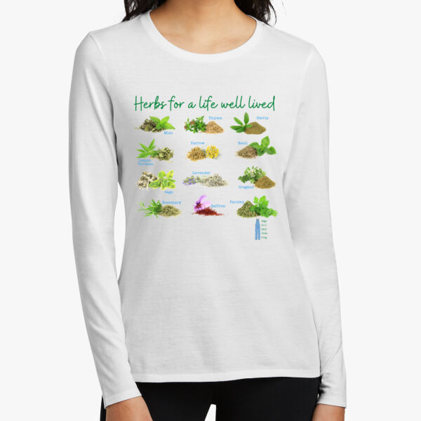 Women's Perfect Blend ® CVC Long Sleeve Tee Thumbnail